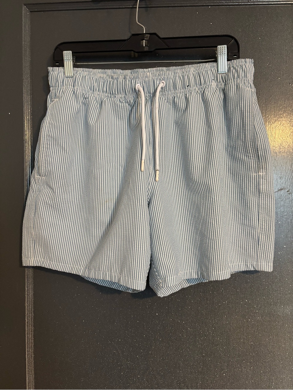 Hollister Light Blue & White Pinstripe Men’s Drawstring Shorts